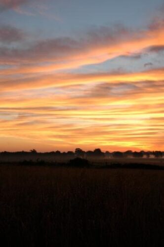 Kansas Smells Like Home